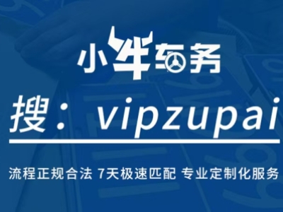新能源指标出租什么价格